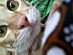 View full size picture