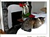 View full size picture