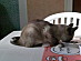 View full size picture