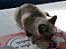 View full size picture