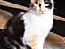 View full size picture