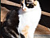 View full size picture