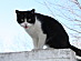 View full size picture