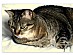 View full size picture