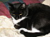 View full size picture
