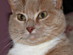 View full size picture