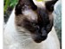 View full size picture