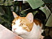 View full size picture