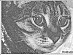 View full size picture