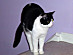 View full size picture