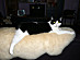 View full size picture