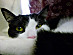 View full size picture