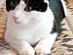 View full size picture