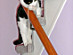 View full size picture