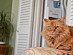 View full size picture