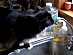 View full size picture