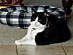 View full size picture