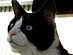 View full size picture