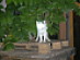 View full size picture