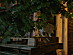 View full size picture