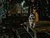 View full size picture