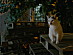 View full size picture