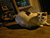 View full size picture