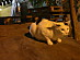 View full size picture
