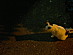 View full size picture