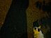 View full size picture