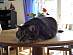 View full size picture