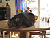 View full size picture