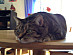 View full size picture