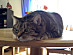 View full size picture