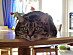 View full size picture