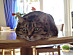 View full size picture