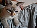 View full size picture