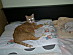 View full size picture