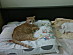 View full size picture