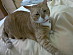 View full size picture