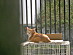 View full size picture