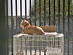 View full size picture