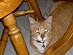 View full size picture