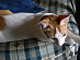 View full size picture
