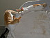 View full size picture