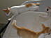 View full size picture