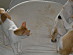 View full size picture