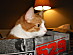 View full size picture