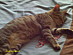 View full size picture