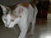View full size picture